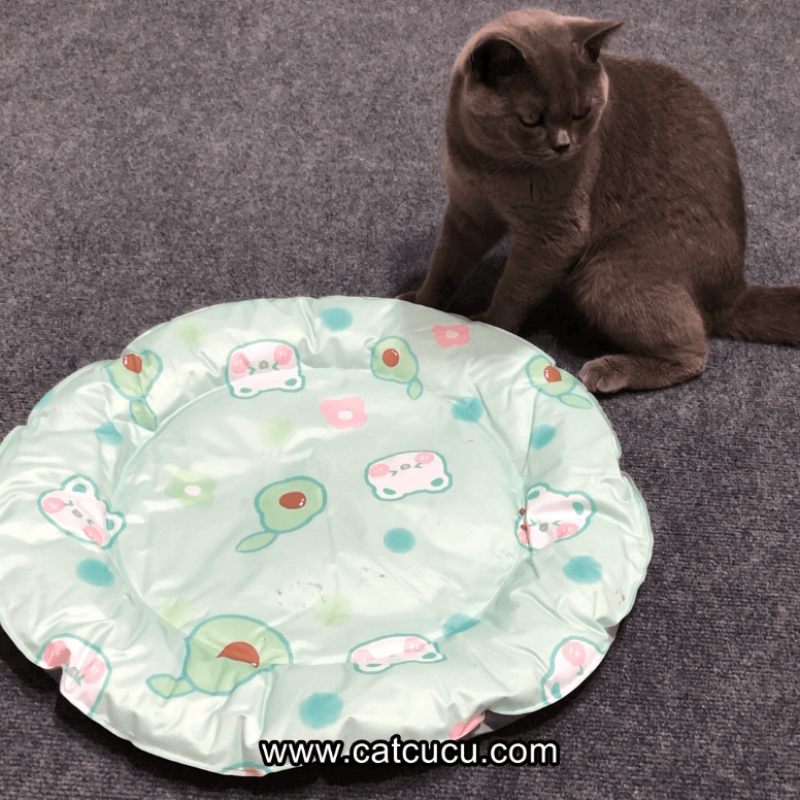 Cat Cooling Bowl OEM Manufacturer